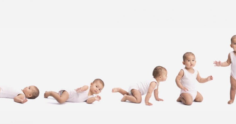 baby-development01-1140x526_c