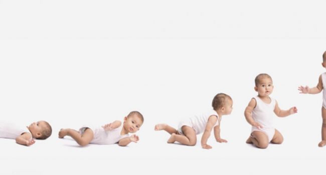 baby-development01-1140x526_c